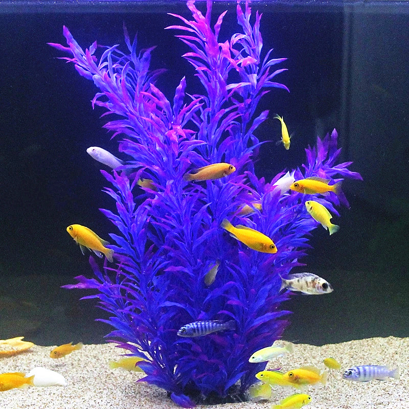 50 ซม.ถังปลาประดิษฐ์พืชหายากAq - Aquarium Fish Real บทวิจารณ์และราคา