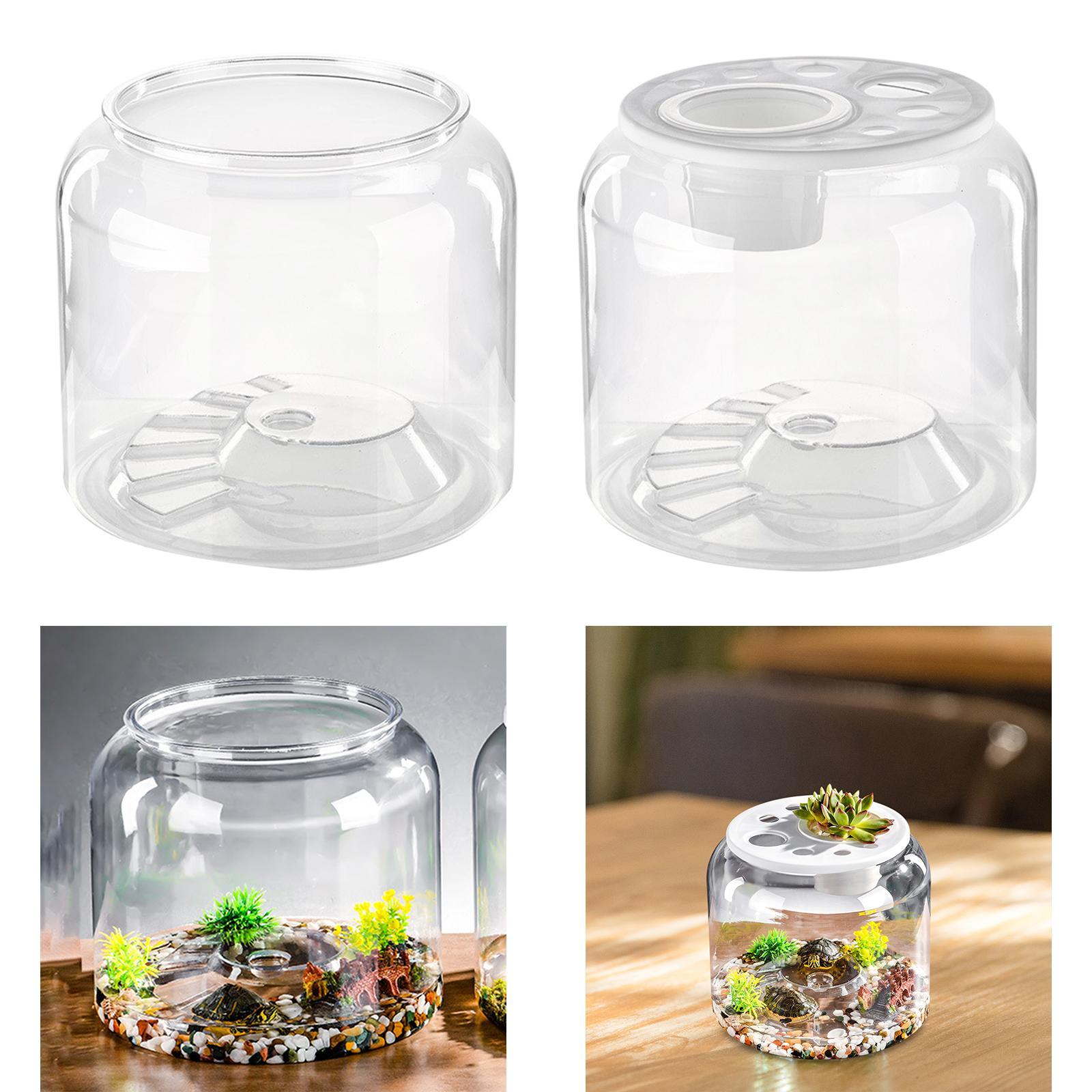 ตู้เลี้ยงเต่าแบบตั้งโต๊ะสำหรับ - Draw Fish Aquarium บทวิจารณ์และราคา