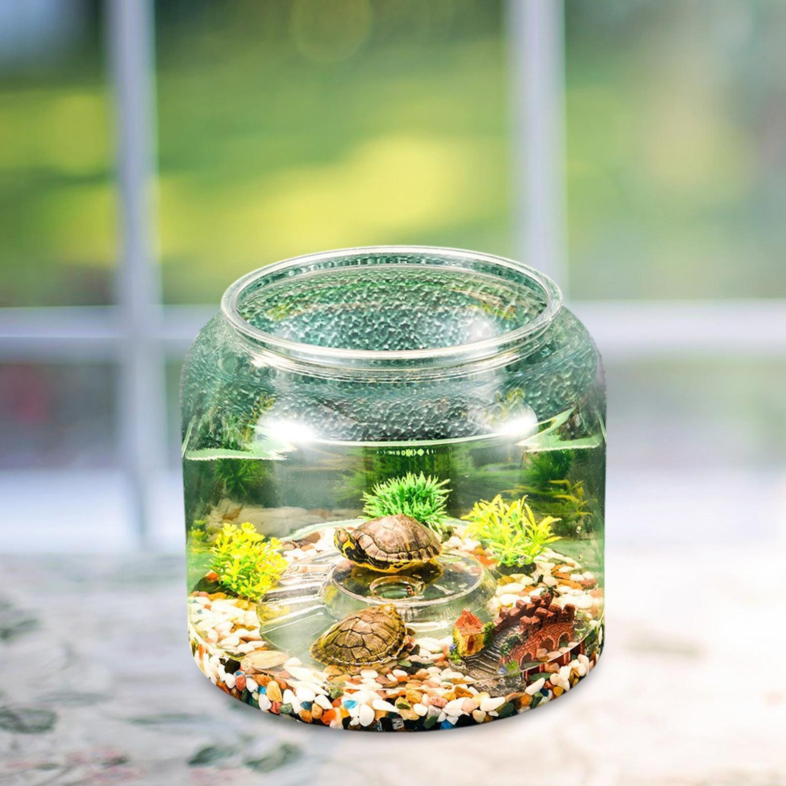 ตู้เลี้ยงเต่าแบบตั้งโต๊ะสำหรับ - Draw Fish Aquarium บทวิจารณ์และราคา
