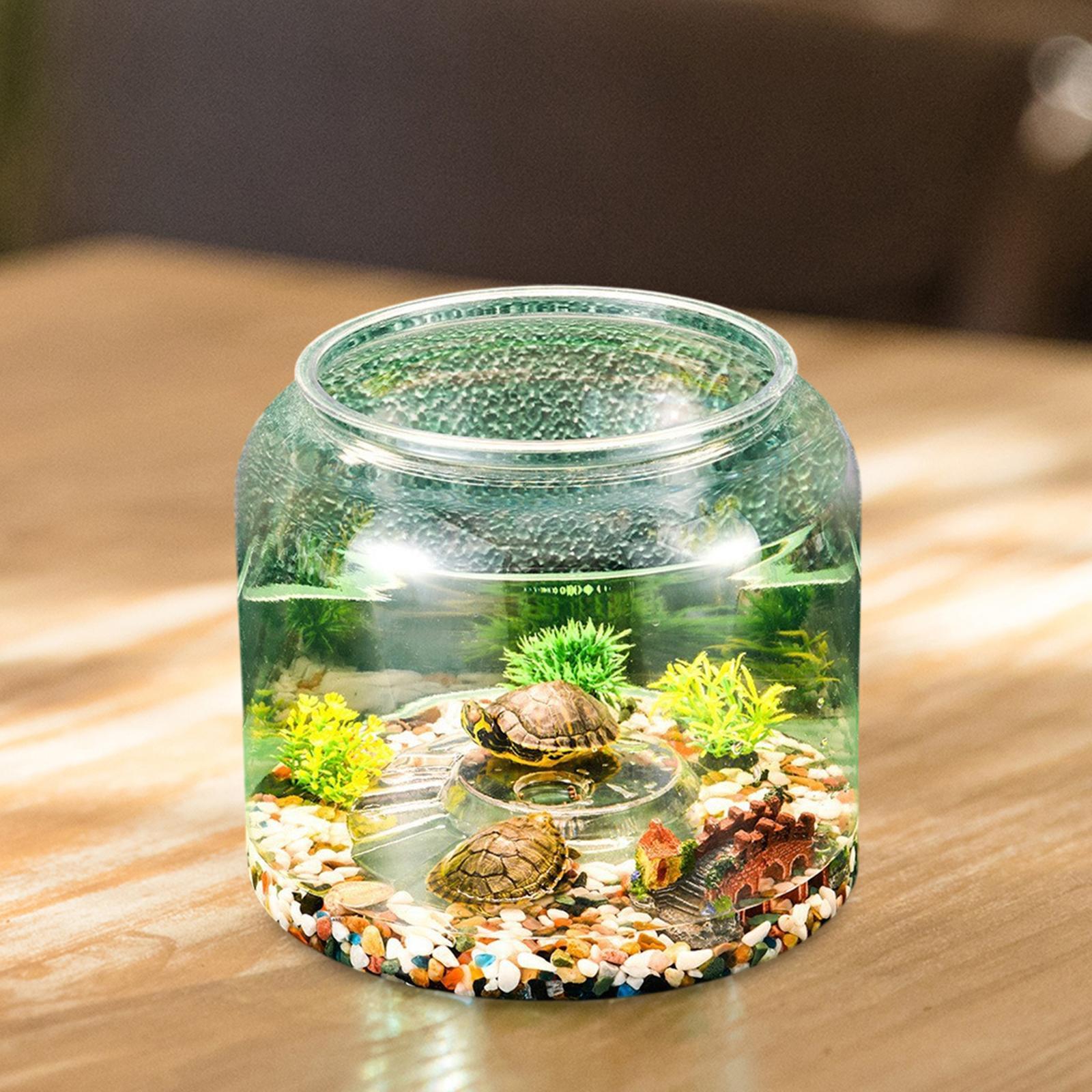 ตู้เลี้ยงเต่าแบบตั้งโต๊ะสำหรับ - Draw Fish Aquarium บทวิจารณ์และราคา