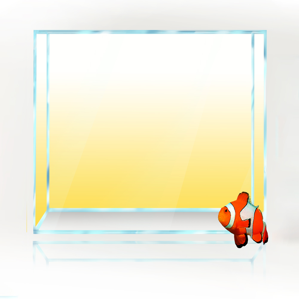 สแควร์ถังปลาพื้นหลังสีขาวสีเหล - Aquarium Fish Yellow And Black บทวิจารณ์และราคา