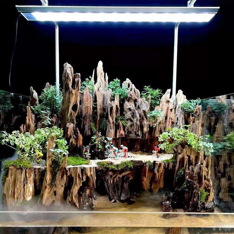 △   ไม้ตกแต่งตู้ปลา ไม้ลอยน้ำ  - Aquarium Fish Only บทวิจารณ์และราคา