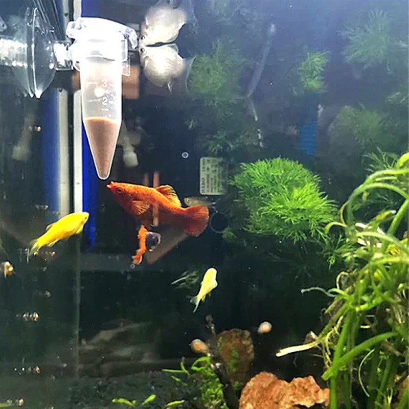 เครื่องให้อาหารปลาอัตโนมัติ รู - Aquarium Fish Auto Feeder บทวิจารณ์และราคา