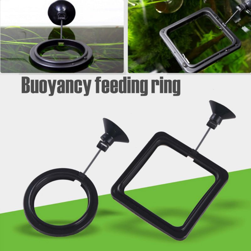 วงแหวนให้อาหารปลาในตู้ปลา ถาดอ - Aquarium Fish Auto Feeder บทวิจารณ์และราคา