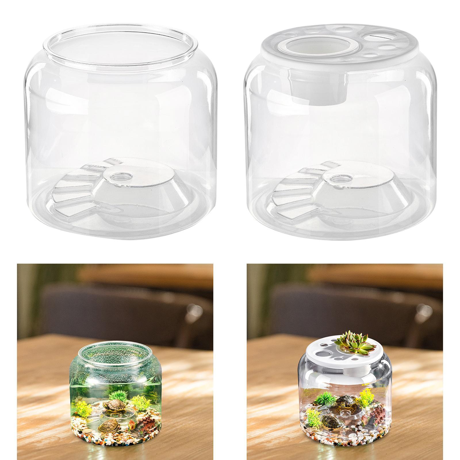 ตู้เลี้ยงเต่าใสขนาดใหญ่ ตกแต่ง - Draw Fish Aquarium บทวิจารณ์และราคา