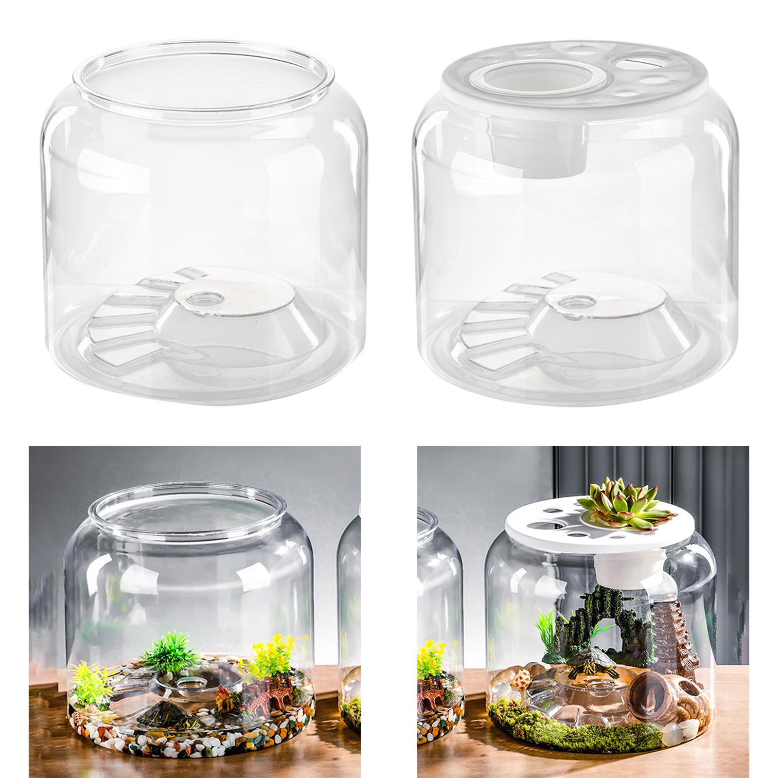 ตู้เลี้ยงเต่าใสขนาดใหญ่ ตกแต่ง - Draw Fish Aquarium บทวิจารณ์และราคา