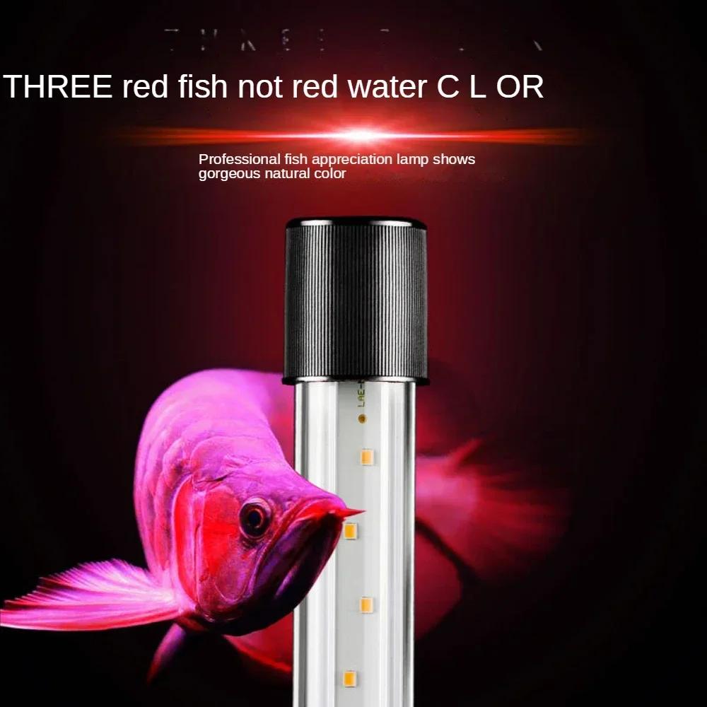 โคมไฟ Arowana, LED Glass Aquar - Aquarium Fish Parrot บทวิจารณ์และราคา
